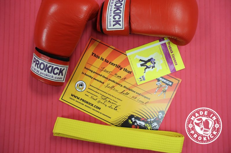 The next ProKick Adult grading Saturday 14th October @ 2.30pm