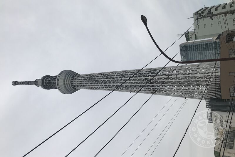 Some great sights today on our Tokyo Bus Tour! Tokyo SkyTree