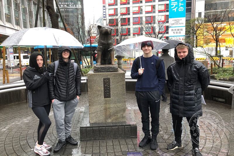 Famous Japanese Dog - The Hachiko statue in Shibuya is a homage to the faithful Akita dog who waited at Shibuya Station every day for his master, even after his death.