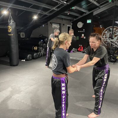 The team with purple and 1st Brown Belts recapping on self-defence techniques and break-falls. No.4