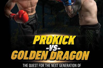 Prokick CFL 12 Poster Portrait