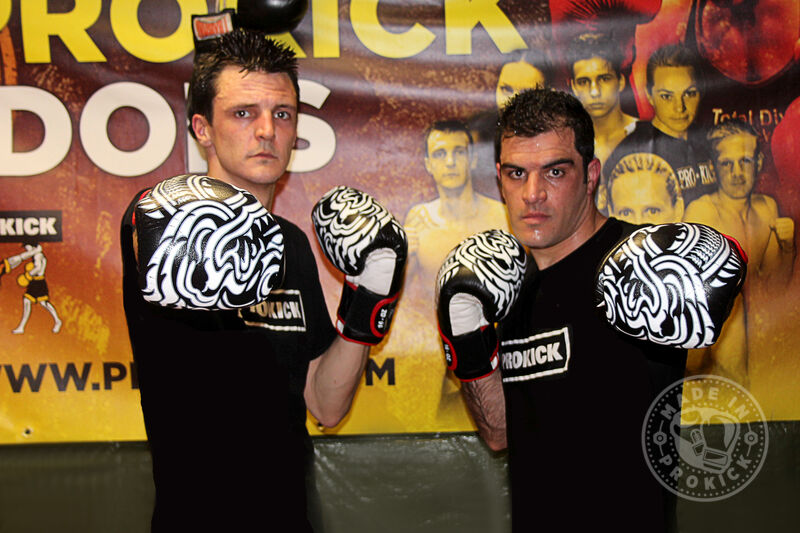 ProKick Fighters in Poland