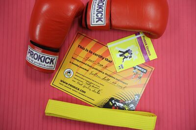 The next ProKick Adult grading Saturday 14th October @ 2.30pm