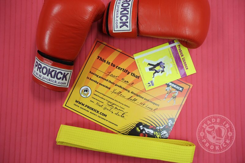 The next ProKick Adult grading Saturday 14th October @ 2.30pm