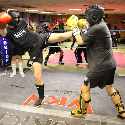 kicks and punches at the ProKick Gym