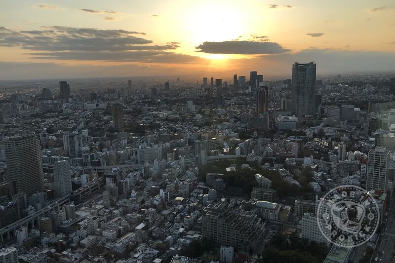 Beautiful view from the top of the Tokyo Tower!