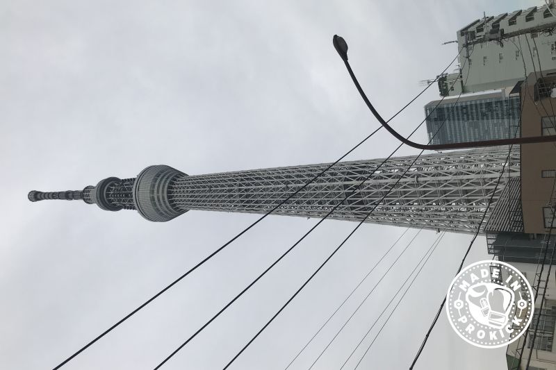 Some great sights today on our Tokyo Bus Tour! Tokyo SkyTree